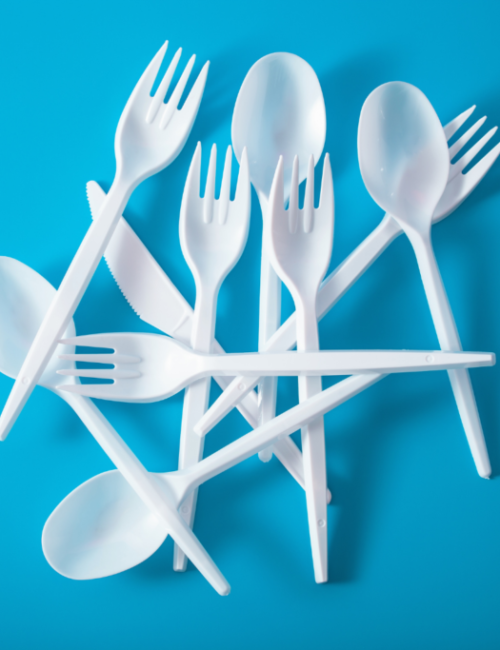 Compostable Cutlery Products